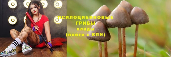 mdma Михайлов